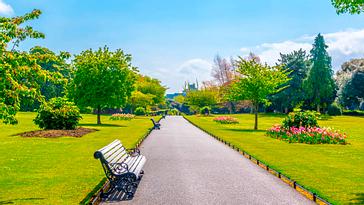 Explore All That Dublin Has to offer