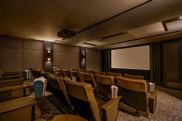Private Screening Room