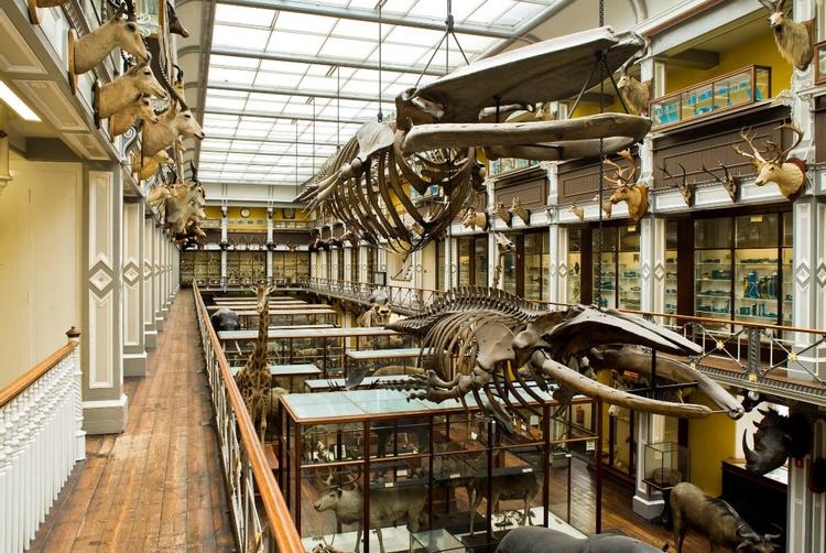 Brooks Hotel | D02 TV06 | 7