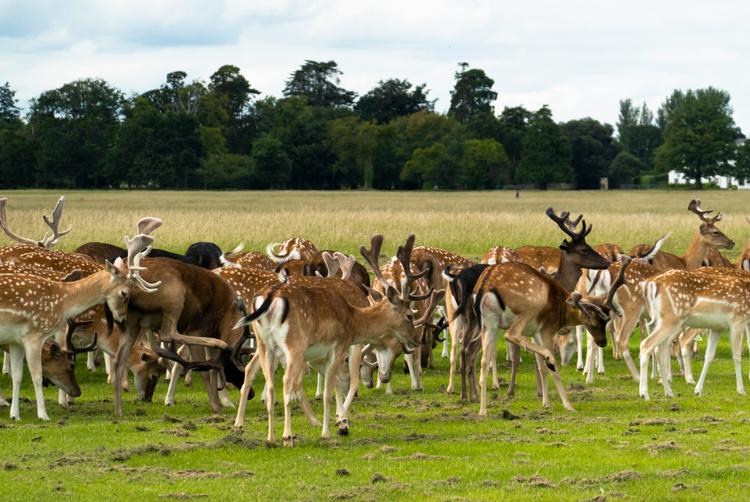 Brooks Hotel | D02 TV06 | 15